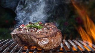 Wagih's Steakhouse - Hood & Grill, halal Levantine in Milton
